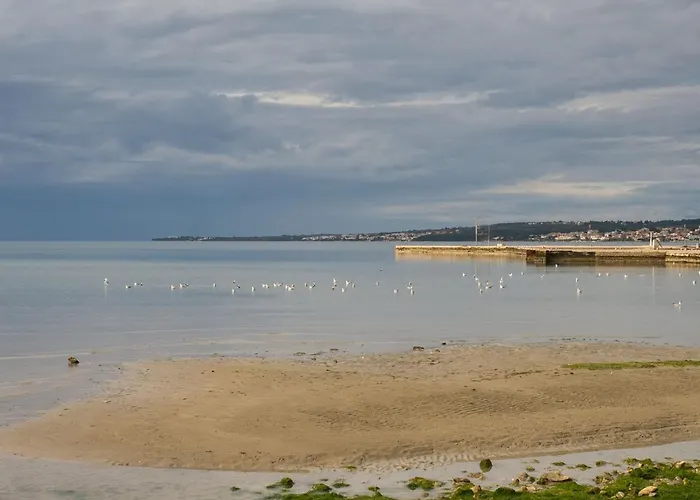 公寓 Paradise Premium 扎达尔